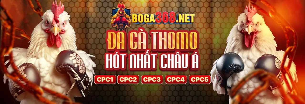 Đá gà trực tuyến AW8 với mã quà tặng AW8 2026